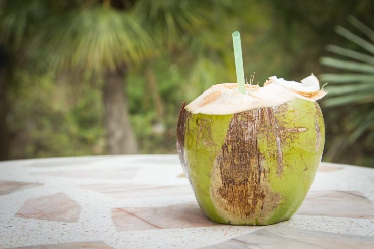 Health Benefits of Coconut&nbsp;Water