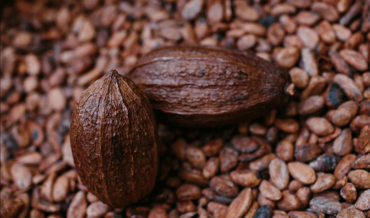 Health Benefits And Uses of Cocoa