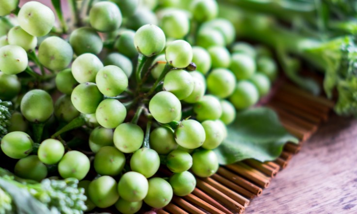 Health Benefits Of Turkey Berries (Kwahu&nbsp;Nsusua)