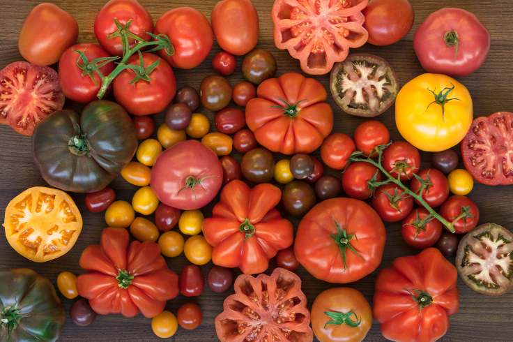 8 Reasons Why Tomato Is Good For&nbsp;Men