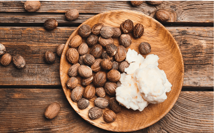 Importance Of Shea&nbsp;Butter