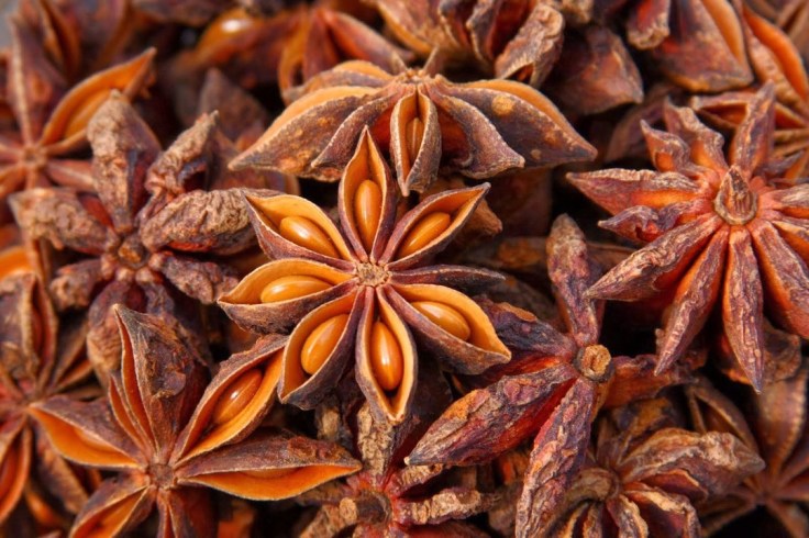 Health Benefits Of Star&nbsp;Anise