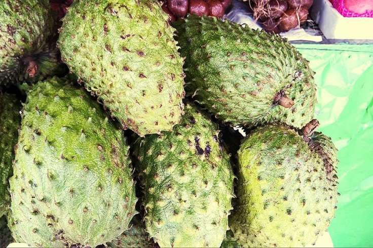 Soursop and Cancer