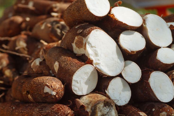 Health Benefits Of Cassava