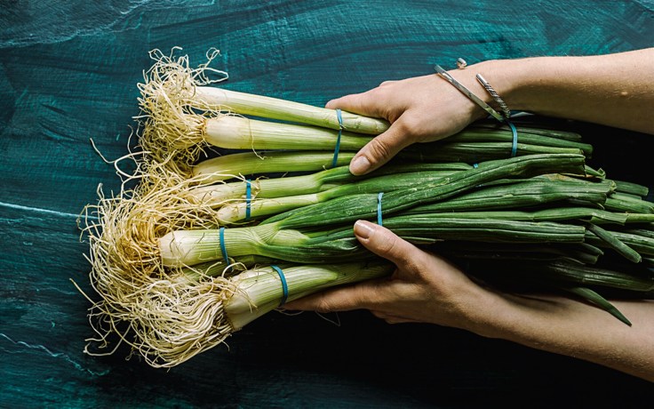 The health benefits of Spring Onions