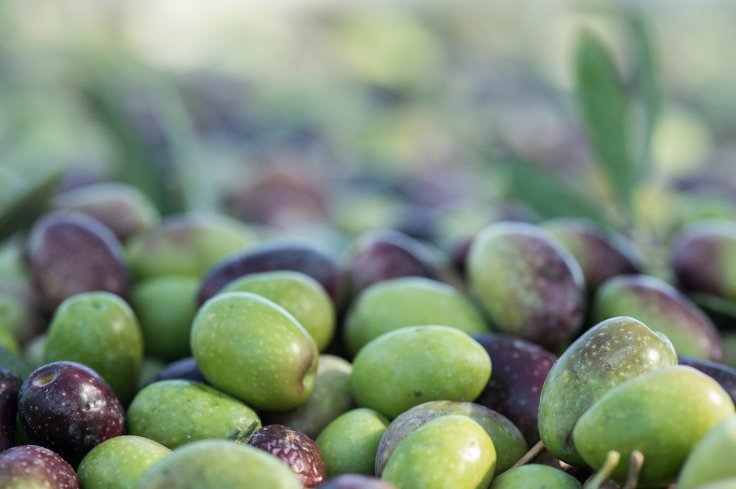 Health Benefits Of&nbsp;Olives