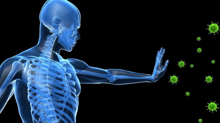 8 Natural Ways To Boost Your Immune&nbsp;System