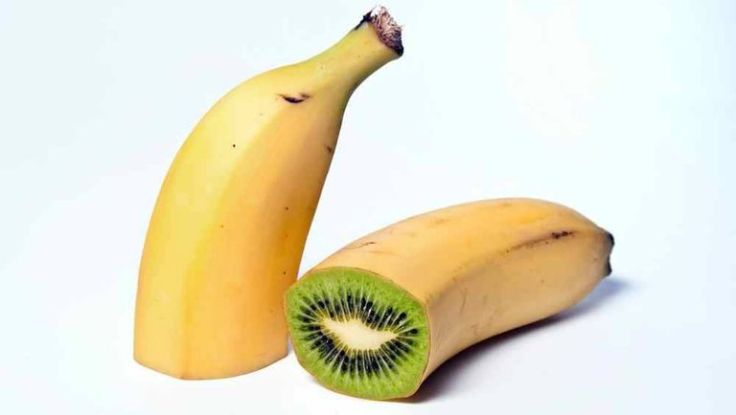 Genetically Modified Organisms (GMOs): Advancements, Controversies, and Future&nbsp;Implications
