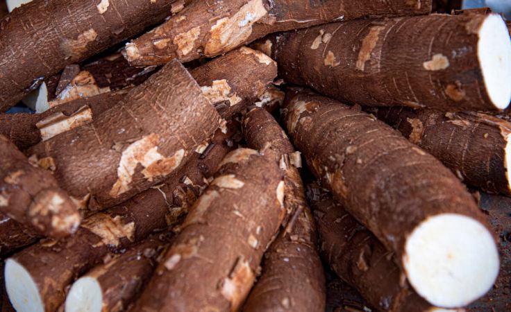 Is Cassava Bad For&nbsp;You?